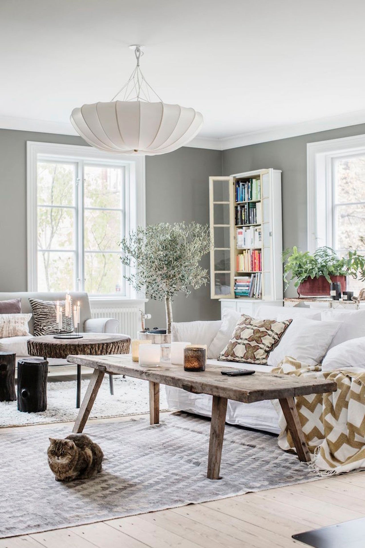 Shell-shaped ceiling light